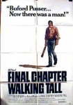 Final Chapter Walking Tall